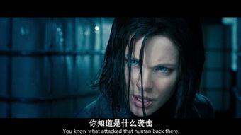 欧洲大片在线观看,在线观影指南  第2张